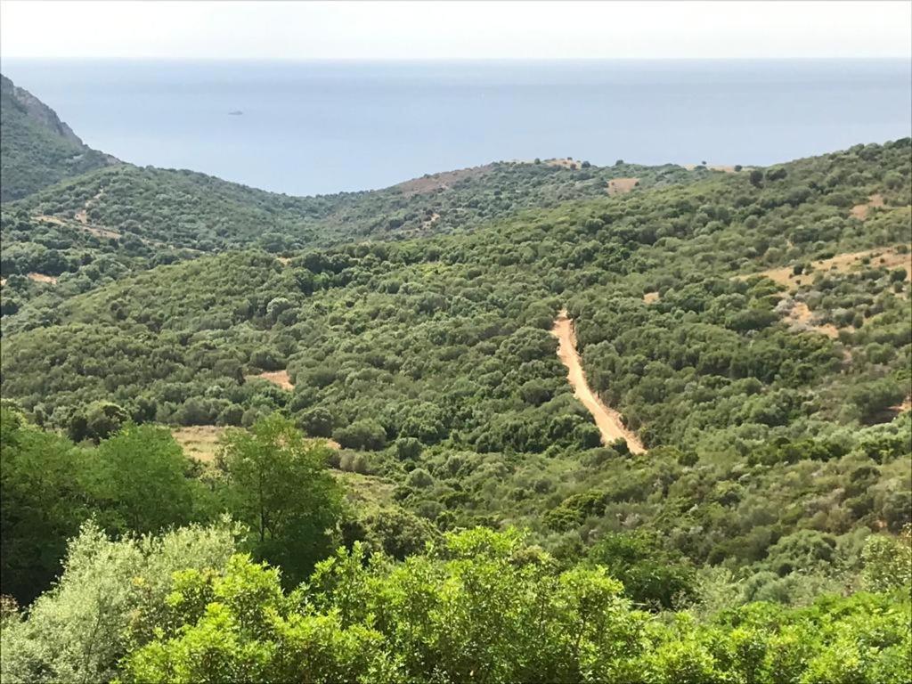 Вилла Les Terrasses De Scaglioli Villanova Экстерьер фото